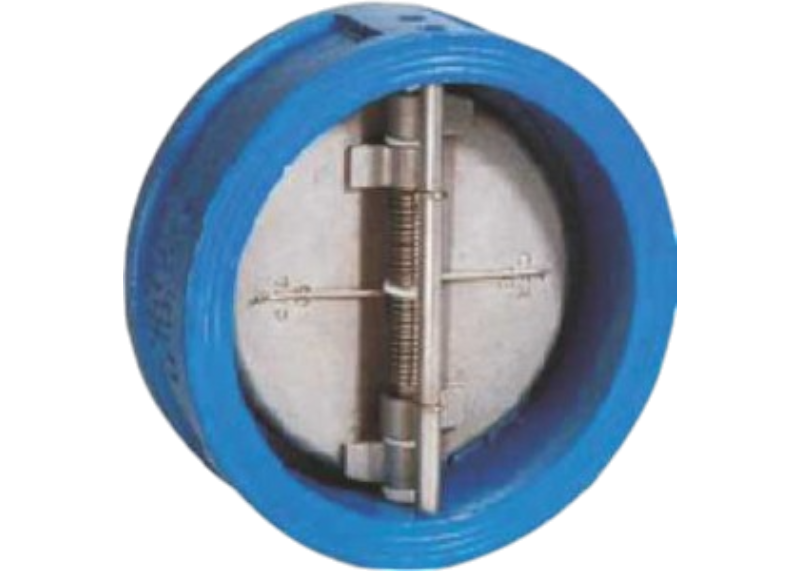Dual Plate Check Valve