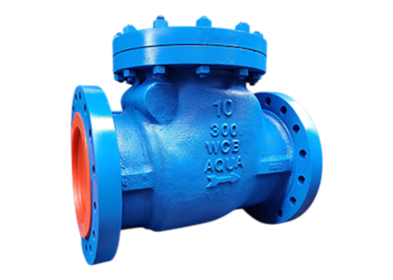 Non Return Valve